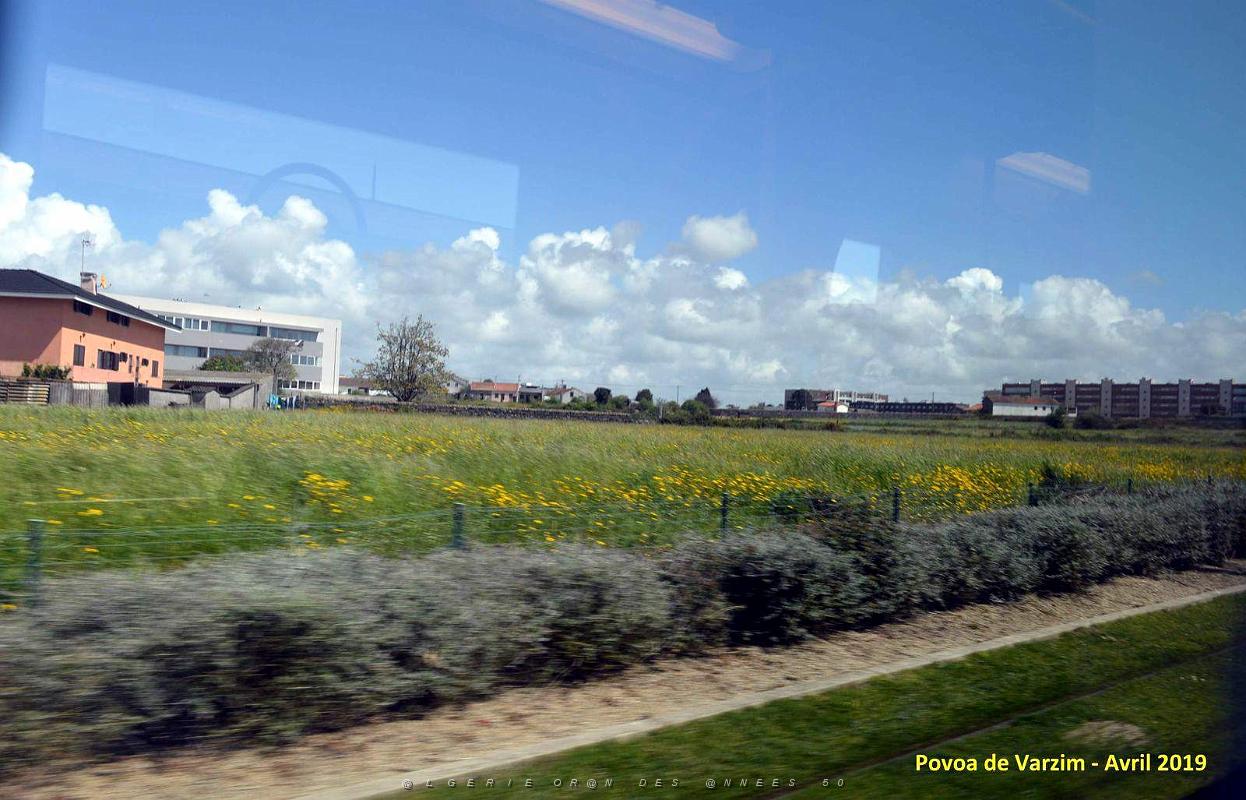 2197- Povoa de Varzim.jpg